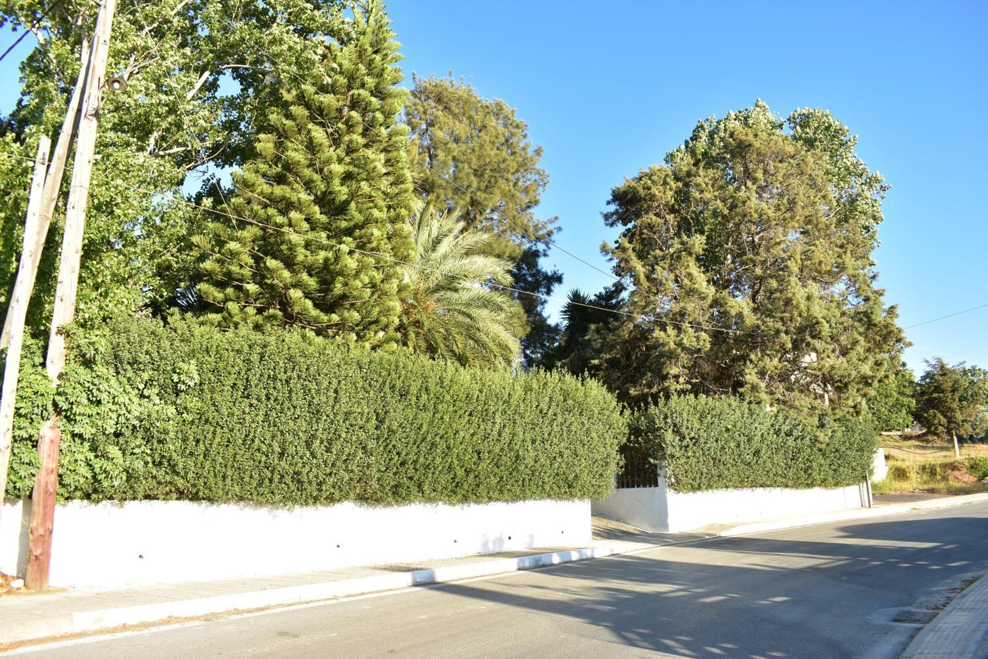Νιrαsτεrο - The House In The Trees Villa Kalloni  Exterior photo